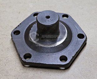 FT254.31F.105 Гнездо вала поворотного